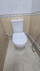Blk 301 Shunfu Gardens (Bishan), HDB Executive #621229881